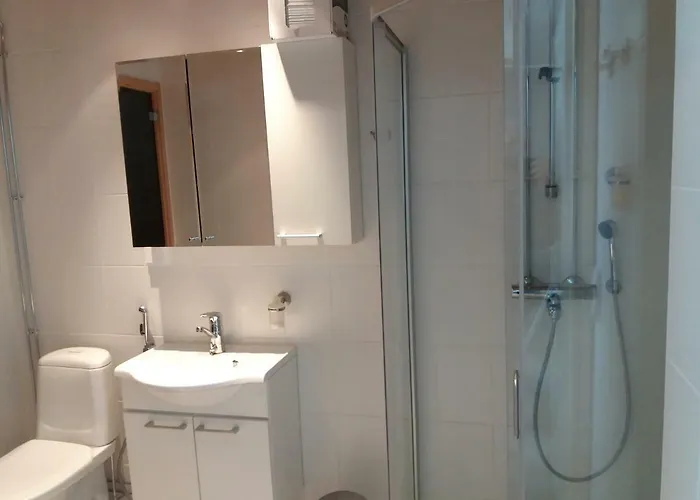 Levibooking Levistar Ii 309 *